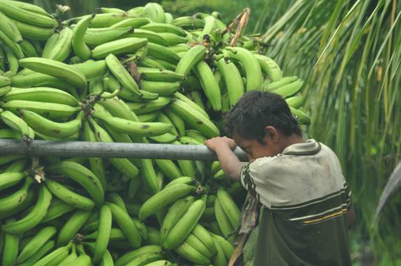 Carona no caminhão de bananas, bem comum na Isla Ometepe, no lago Nicarágua, sul do país